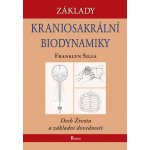 Základy kraniosakrální biodynamiky – Hledejceny.cz