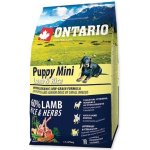 Ontario Puppy Mini Lamb & Rice 0,75 kg – Hledejceny.cz