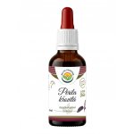 Salvia Paradise Perila křovitá AF tinktura 50 ml – Hledejceny.cz