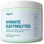 Vilgain Elektrolyty 320 g – Zboží Mobilmania