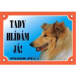 Dafiko Tabulka kolie – Hledejceny.cz
