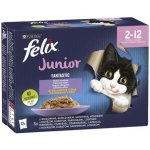 Felix Junior Fantastic lahodný výběr v želé 12 x 85 g – Zboží Mobilmania