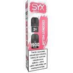 Syx Pod Coconut Melon 16,5 mg 2 x 950 potáhnutí 1 ks – Zboží Dáma