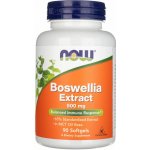Now Foods Boswellia Extract 500 mg 90 softgel kapslí – Hledejceny.cz