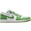 Skate boty Air Jordan 1 Low SE hf4823-100