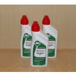 Castrol Garden 2T 1 l – Hledejceny.cz