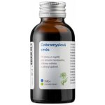 Dědek kořenář Novy NK Dobromyslová tinktura 100 ml – Hledejceny.cz