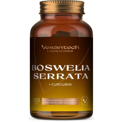 Zdravý svet Vesantech Boswellia serrata 120 kapslí – Hledejceny.cz