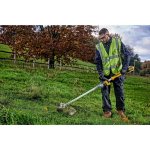 DeWalt DCM561P1 – Zboží Dáma