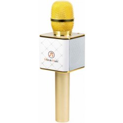 Karaoke set Technaxx BT X31 bluetooth karaoke se stereo reproduktorem TX0356