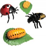 Animal Life figurky životní cyklus Beruška – Hledejceny.cz