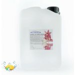 PM Aqualog esence do parních kabin ledový ananas 919-003/D 3 l – Hledejceny.cz