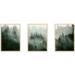 Sada oboustranných plakátů Příroda | 3 x A3 | DP3351459 – Zboží Dáma