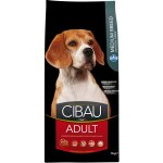 Cibau Dog Adult Medium 12 kg – Hledejceny.cz