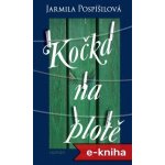 Kočka na plotě - Jarmila Pospíšilová – Hledejceny.cz