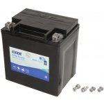 Exide AGM12-31 | Zboží Auto