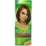 Pallete Color Shampoo středně hnědý 221 – Zbozi.Blesk.cz