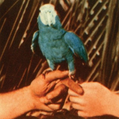 Are You Serious - Andrew Bird CD