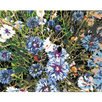 Zuty Malování podle čísel CHRPY MODRÉ – Zboží Dáma