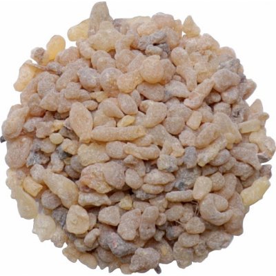 Nefertitis Kadidlo pryskyřice v plechovce NF23644 60 g – Zbozi.Blesk.cz