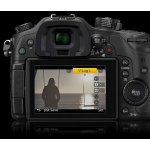 Software Panasonic aktivační klíč DMW-SFU1 pro GH4, GH5 (DMW-SFU1GU) – Zboží Živě