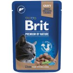 Brit Premium Cat Sterilised Liver 100 g – Zbozi.Blesk.cz