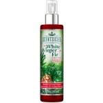 LAALU Vonný sprej na stromeček vůně živého stromečku 118 ml – Zboží Dáma