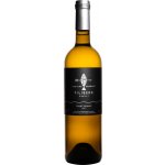 Filiberk Pinot Blanc terra 2021 14% 0,75 l (holá láhev) – Hledejceny.cz