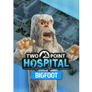 Two Point Hospital: Bigfoot