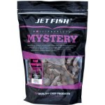 JetFish Mystery boilies 1 kg 20 mm SQUID SPICE – Zboží Mobilmania