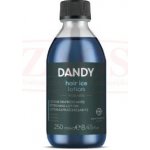 Niamh Hairkoncept Dandy Hair Ice Lotion posilující a osvěžující lotion 250 ml – Hledejceny.cz