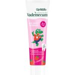 Vademecum My Little Straw pro děti 0-6 let 50 ml – Hledejceny.cz