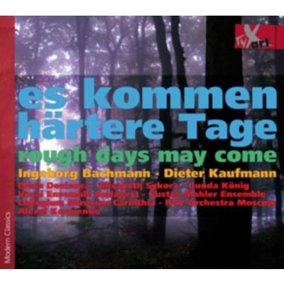 Kaufmann D. - Rough Days May Come CD – Zboží Mobilmania