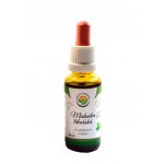 Salvia Paradise Meduňka lékařská AF tinktura 30 ml – Hledejceny.cz