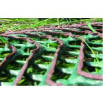 Tenax GP Flex 1400 2 x 20 m zelená 40 m² – Sleviste.cz