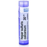 HEPAR SULFURIS CALCAREUM POR 30CH GRA 4G – Hledejceny.cz