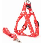 Vsepropejska Usual postroj pro psa s vodítkem – Zbozi.Blesk.cz