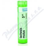 LACHESIS MUTUS POR 5CH GRA 4G – Hledejceny.cz