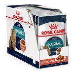 Royal Canin Hairball Care 24 x 85 g – Hledejceny.cz