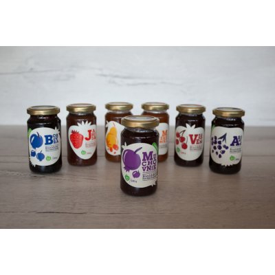 Koldokol Bioláda borůvky 230 g – Zboží Dáma