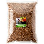 UGF sušený moučný červ 1 kg – Hledejceny.cz