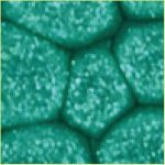 Pebeo Fantasy efektová barva Prisme 45 ml Emerald – Hledejceny.cz