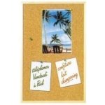 Esselte Tabule korková Economy 90 x 60 cm – Zboží Dáma