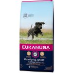 Eukanuba Puppy Large 2 x 15 kg – Hledejceny.cz