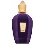Xerjoff Accento Fragrance parfémovaná voda unisex 100 ml – Zboží Mobilmania