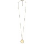 Fossil JF04779710 – Hledejceny.cz