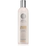 Natura Siberica Copenhagen vitaminový kondicionér Zmrazené bobule 400 ml – Zbozi.Blesk.cz