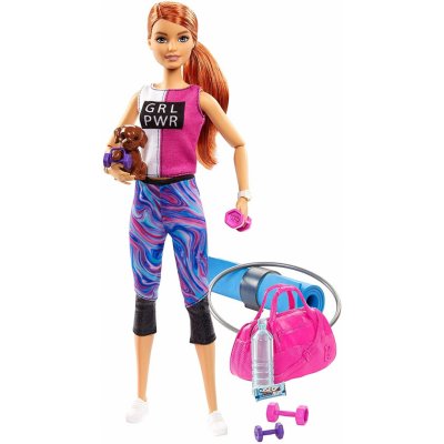 Barbie Wellness Fitness herní set s panenkou – Zboží Dáma