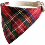 Cobbyspet obojek hladký se šátkem – Zboží Mobilmania