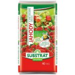 Forestina Standard Substrát zahradnický univerzální 40 l – Sleviste.cz